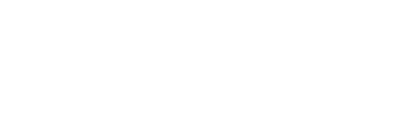 Techniche Global